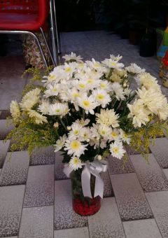 Silindir Vazoda Papatya Şöleni