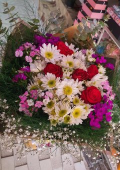 papatyalar-hüsnü yusuflar ve 5 gül