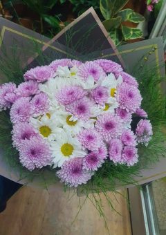 papatya ve kasımpatı buketi